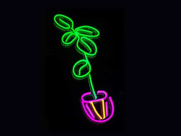 cute led neon sign for home decor