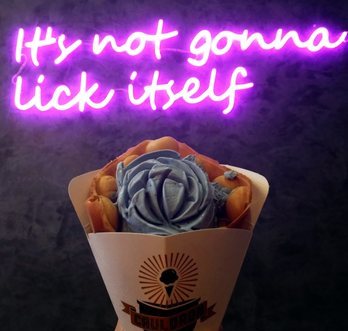 it's not gonna lick itself neon sign