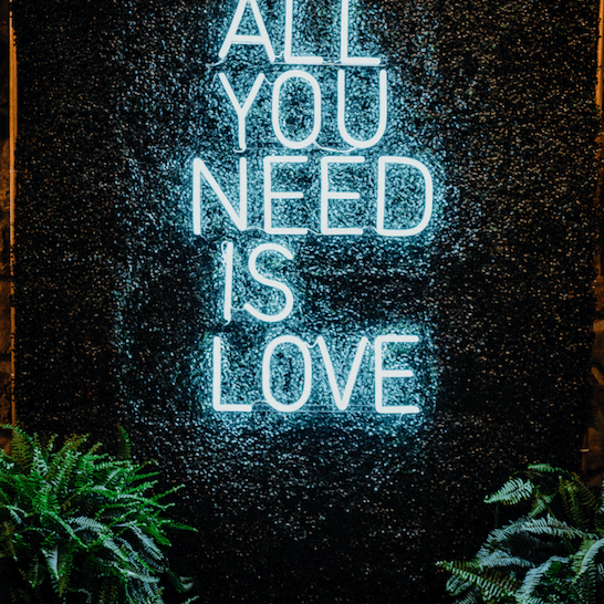 ALL YOU NEED IS LOVE