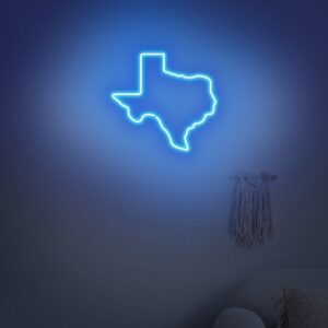 texas neon sign1