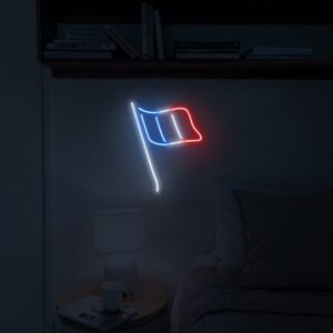 france flag neon light