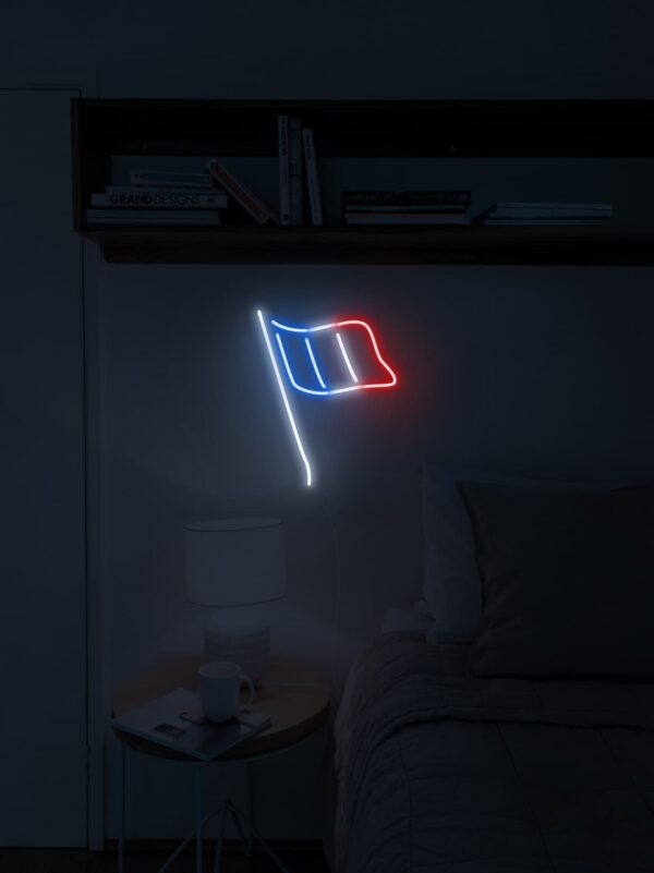 france flag neon light