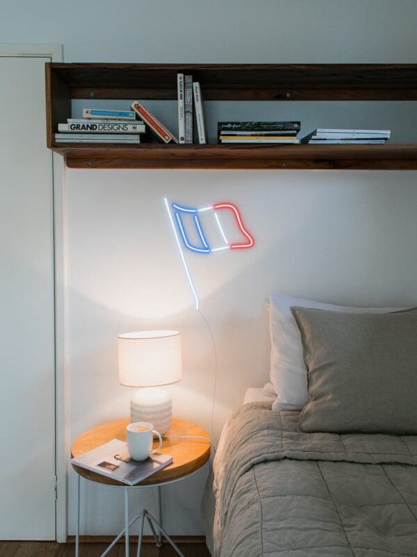 france flag neon sign