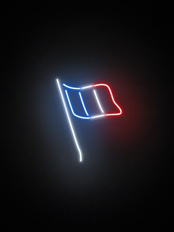 france flag neon signs