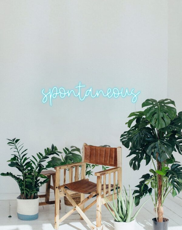 spontaneous neon sign