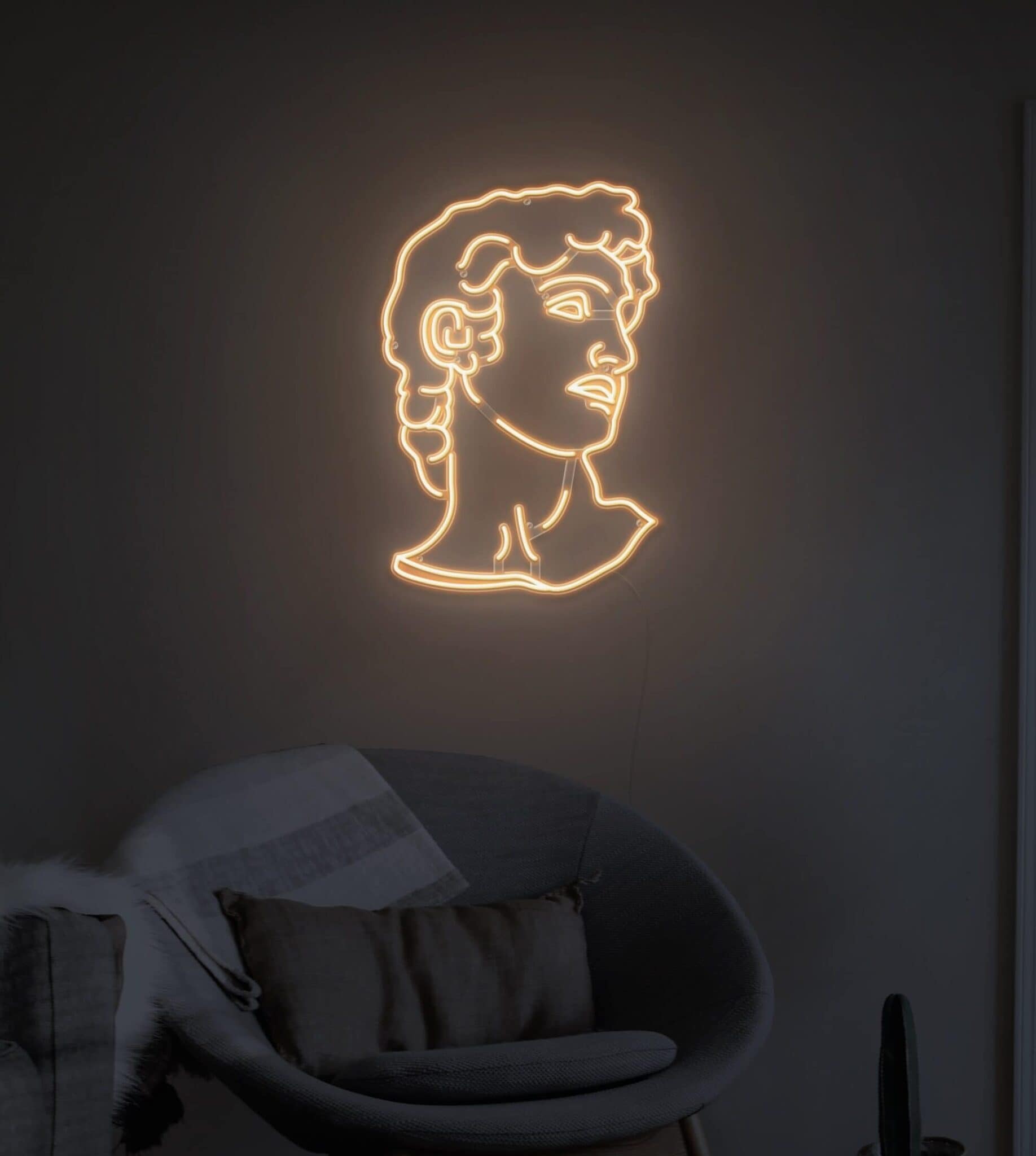 david head led neon light