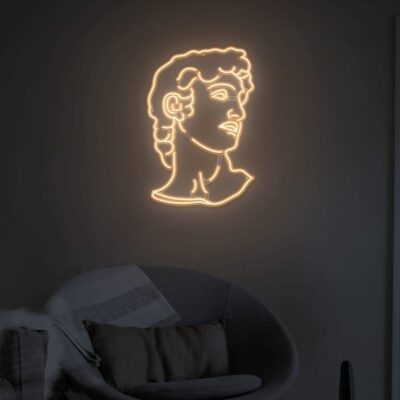 david head led neon light