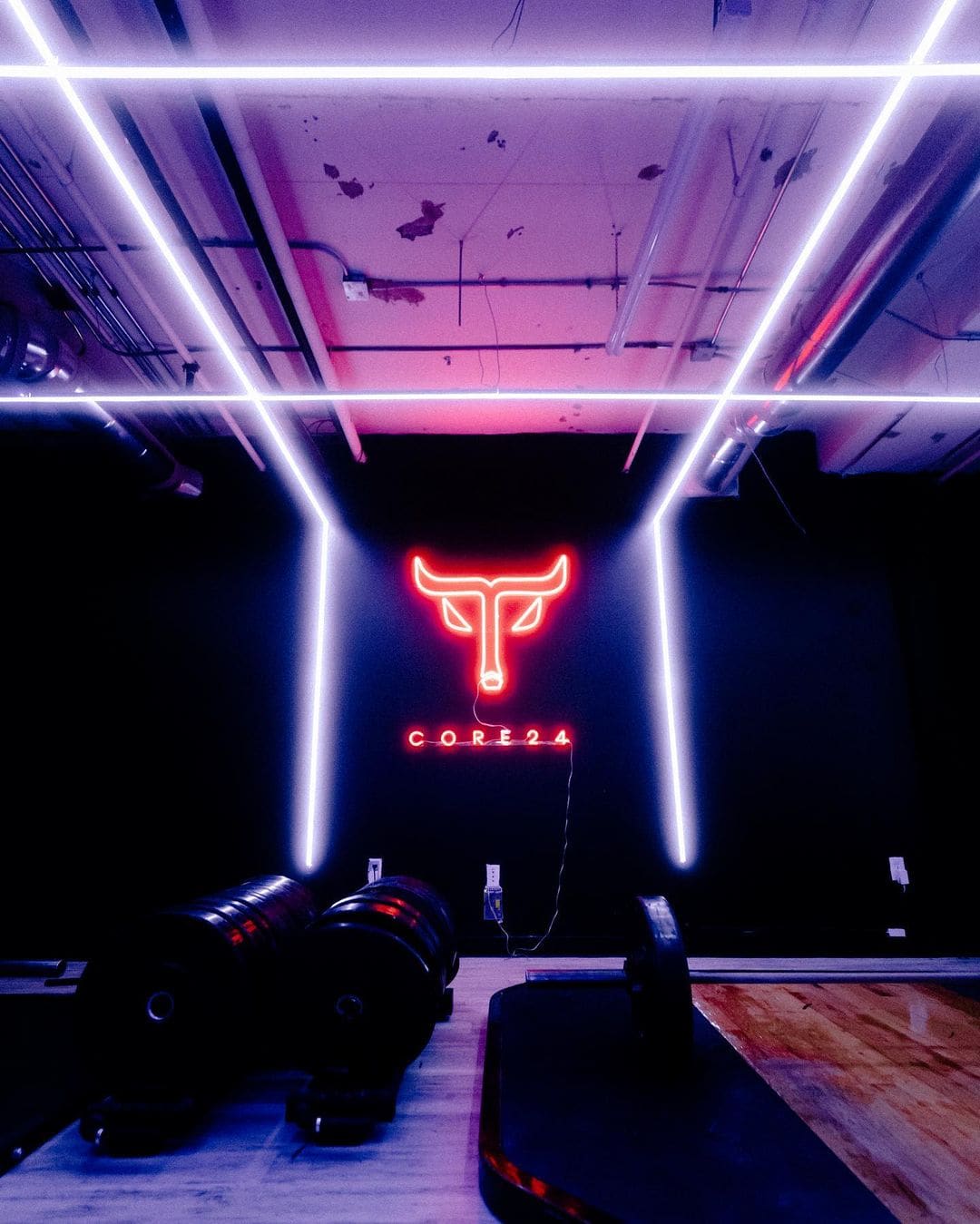 gym custom neon sign logo sign