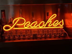 neon sign for home bar