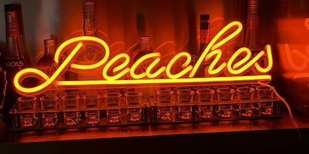 neon sign for home bar