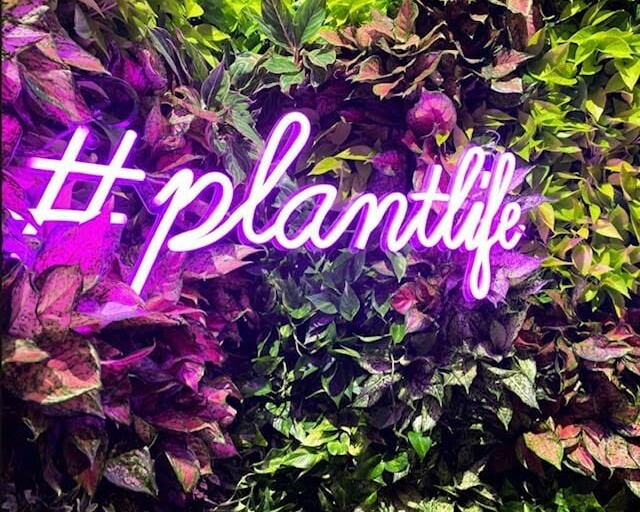 purple plant neon sign