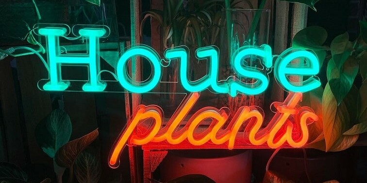 airbnb neon light