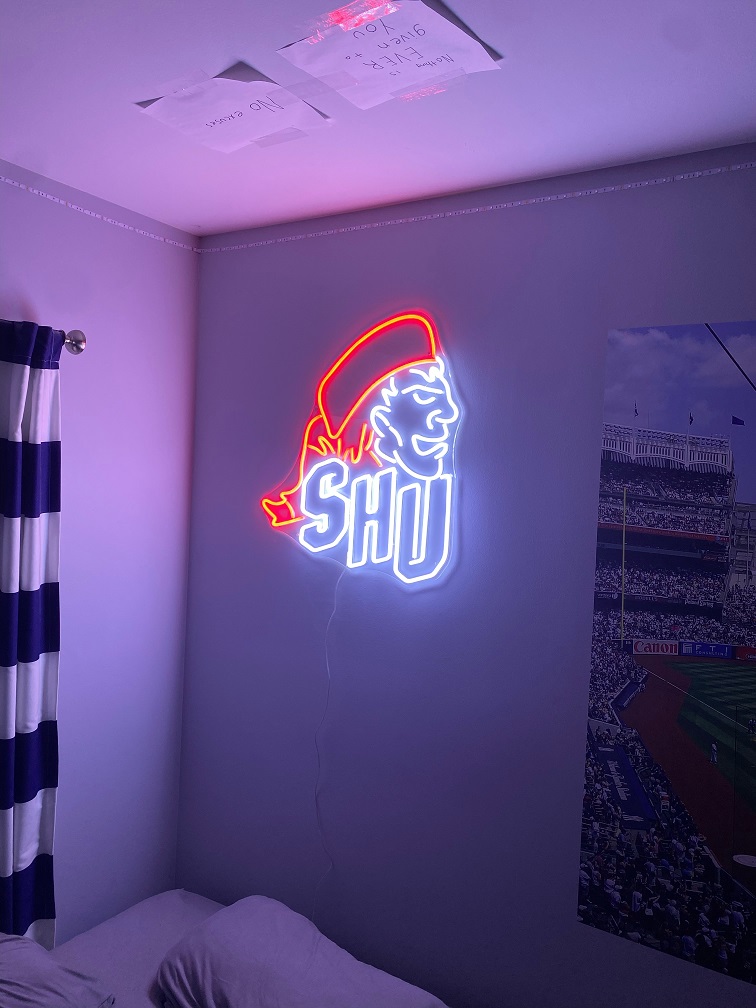 bedroom neon light