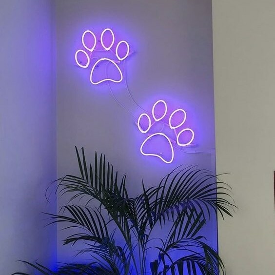 cute footprints neon light