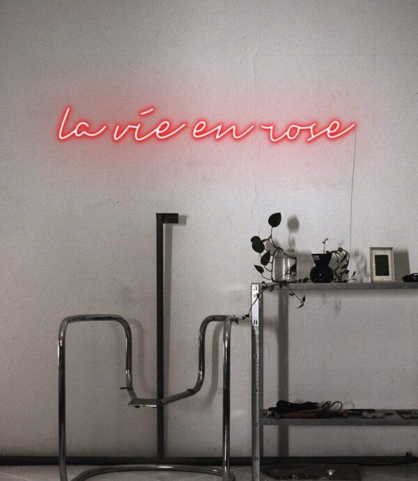 en rose red custom neon signs, red custom neon light for room decor