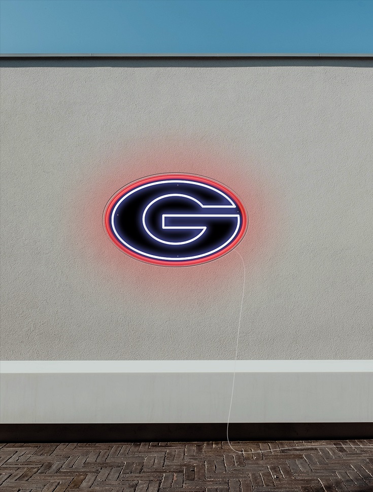 georgia bulldog football neon sign, college football neon lights