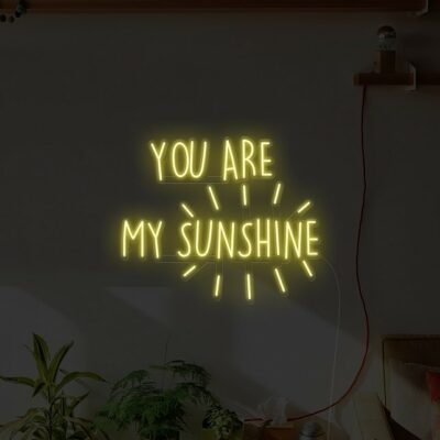 inspired quote neon sign, custom encourage neon light