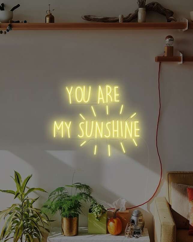 you are my sunshine quote neon sign, custom quote neon light