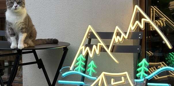outdoor camping neon light, decor neon sign