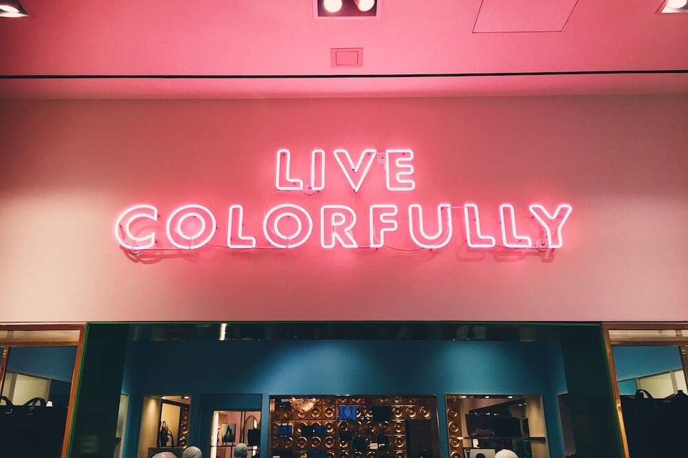 live colorfully pink glass neon sign retailer decor