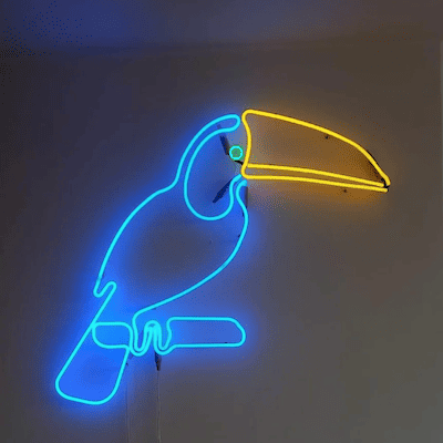 parrot blue and yellow glass neon