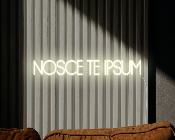 NOSCE TE IPSUM Know Thyself Neon Sign