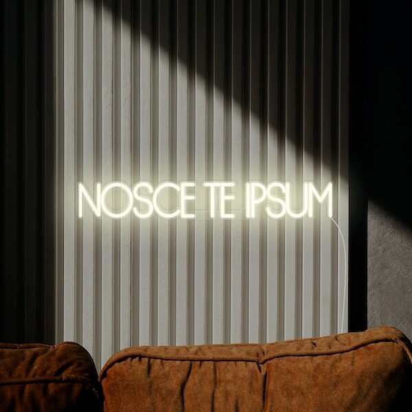 NOSCE TE IPSUM Know Thyself Neon Sign