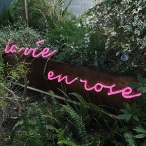 la vie en rose led neon sign