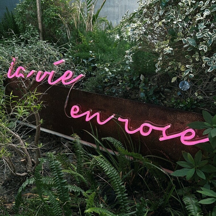 la vie en rose led neon sign