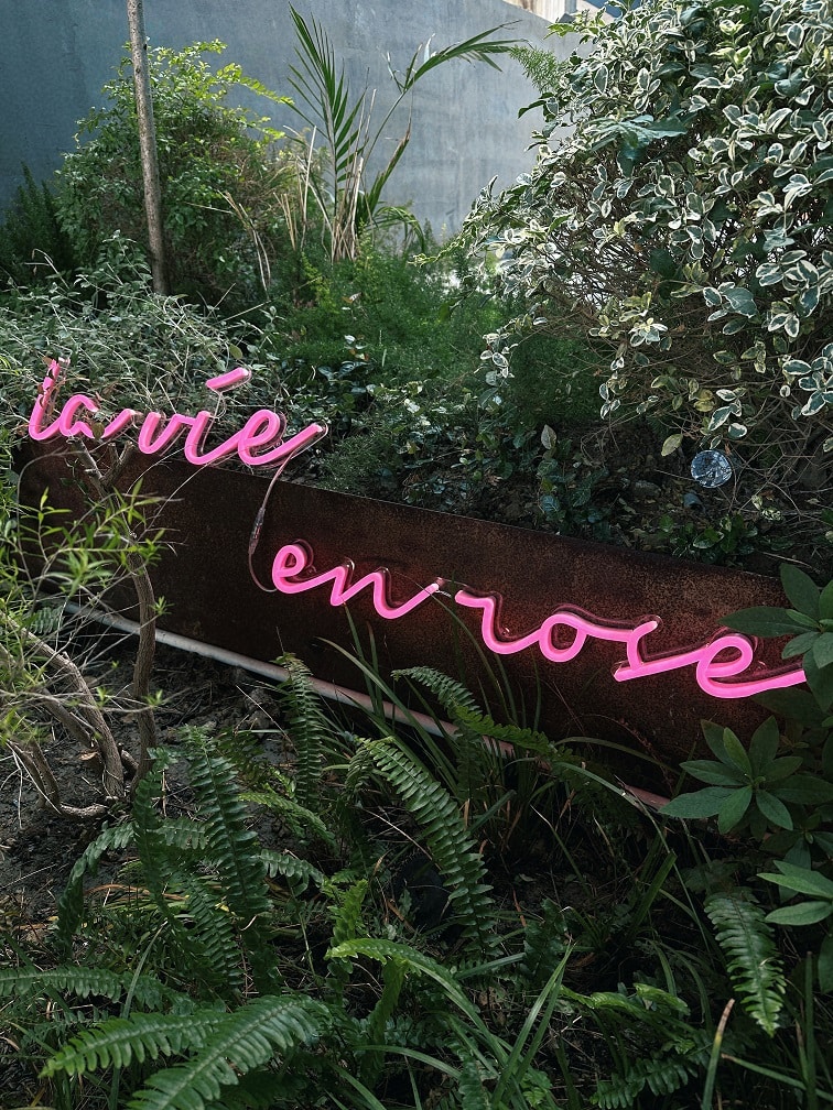 la vie en rose led neon sign