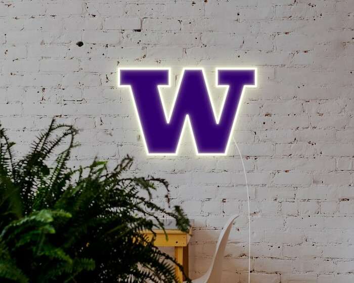 Washington Huskies cool football neon sign