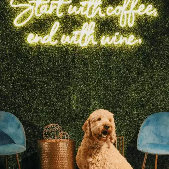 start with coffee end with wine