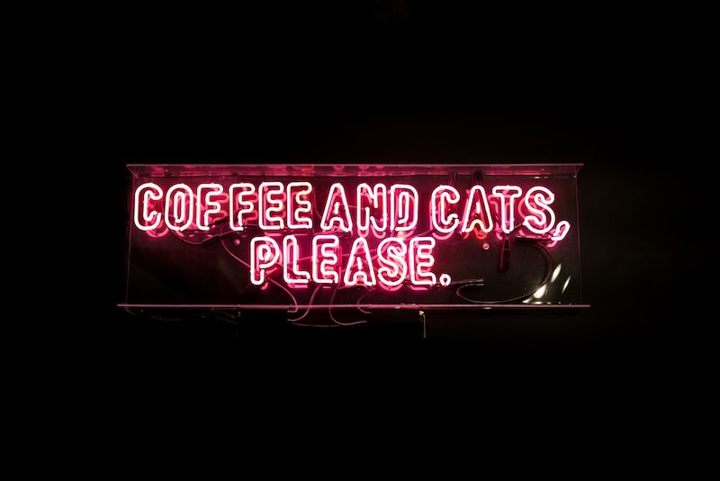 coffee and cats please pink neon sign