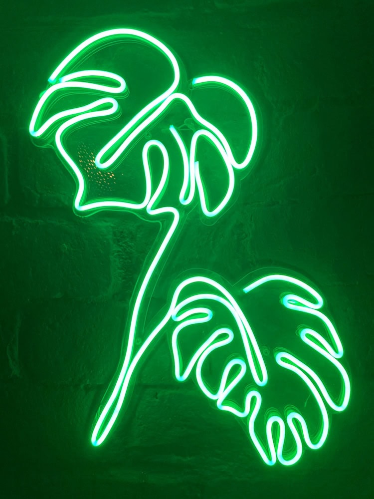 Swiss Cheese Plant Monstera green plant neon sign