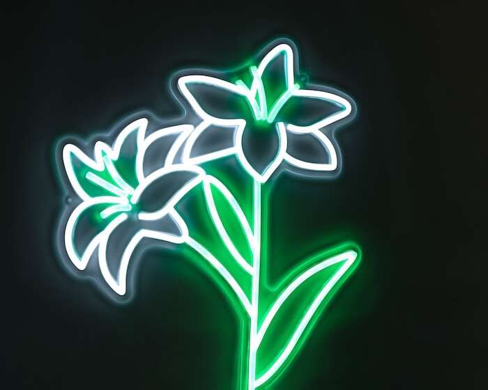 easter lily green and white neon sign