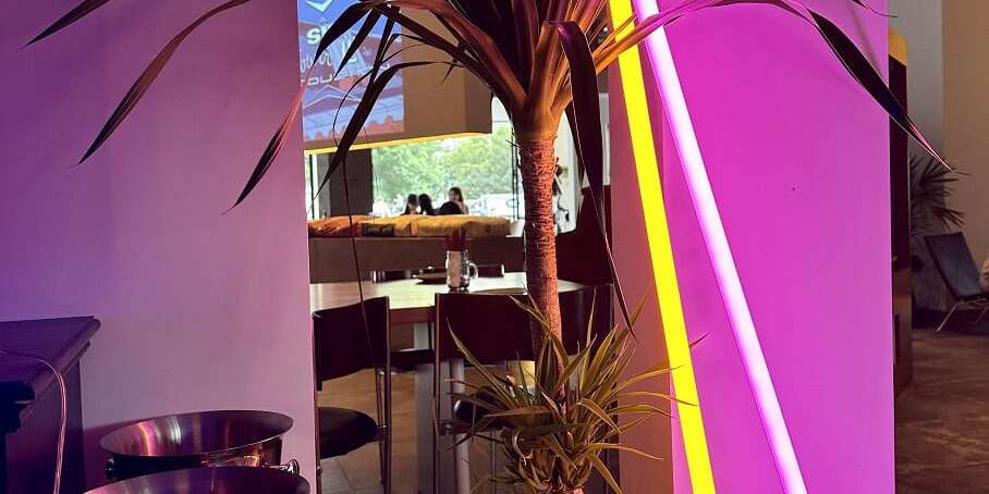 neon tube light in event commercial space