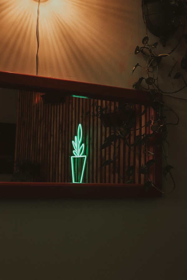 friend gift neon sign plant window