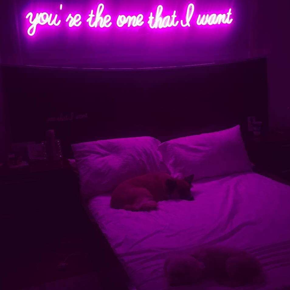 Dreamy and Romantic neon sign for bedroom