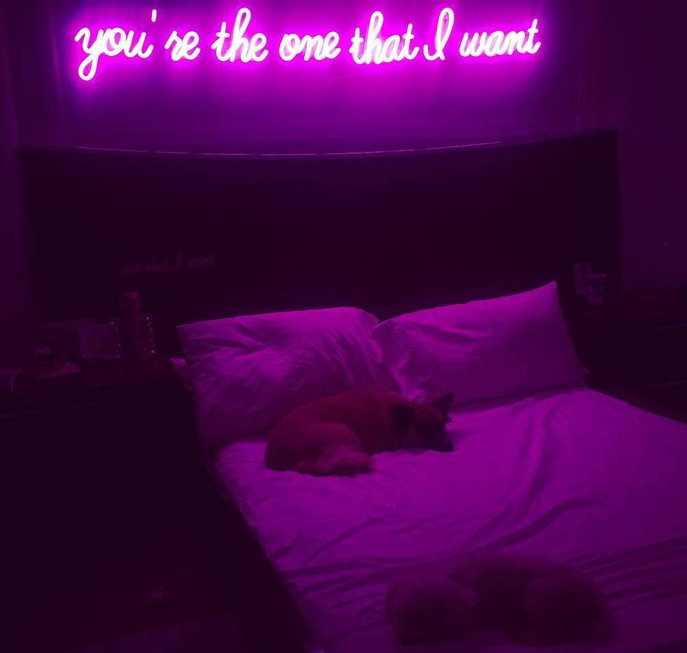 Dreamy and Romantic neon sign for bedroom