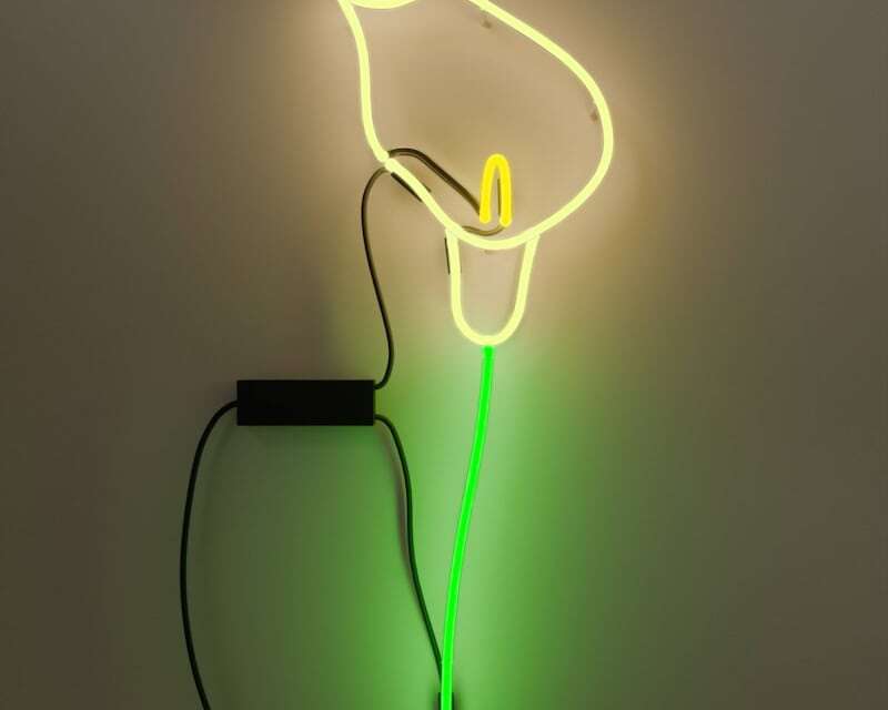 Lily flower glass neon sign