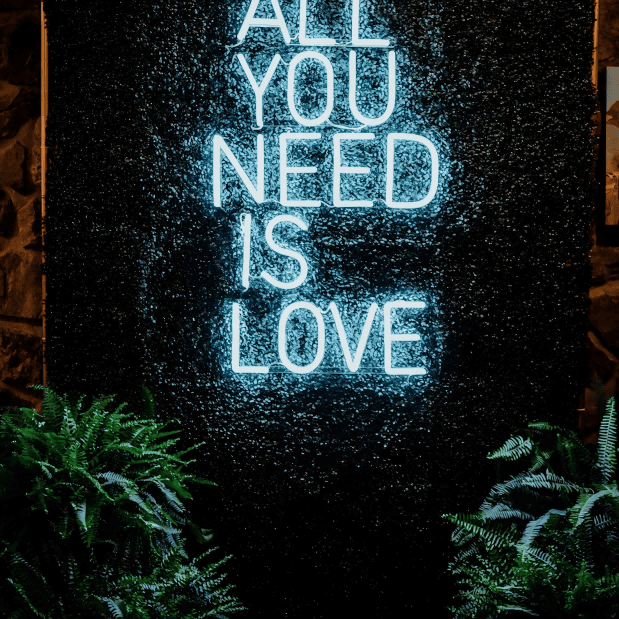 The fun and playful LED neon wedding sign All You Need Is Love neon sign