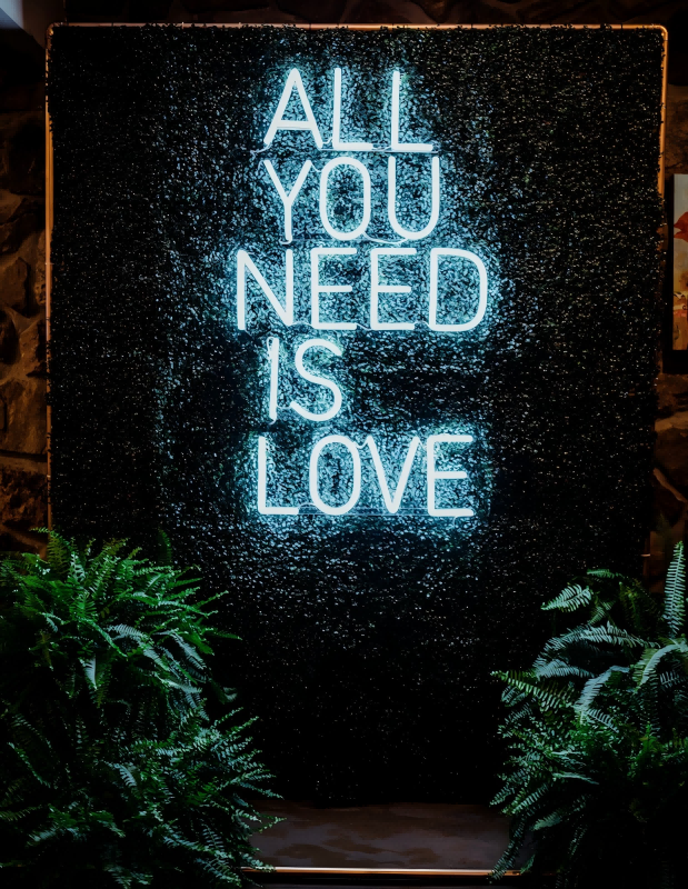 The fun and playful LED neon wedding sign All You Need Is Love neon sign