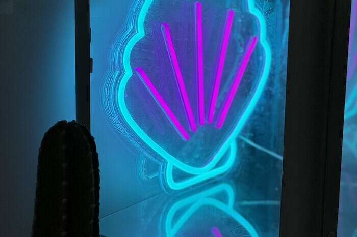seashell purple and ice blue neon light