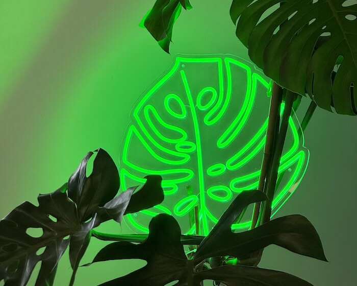 Monstera Leaf green Neon Light