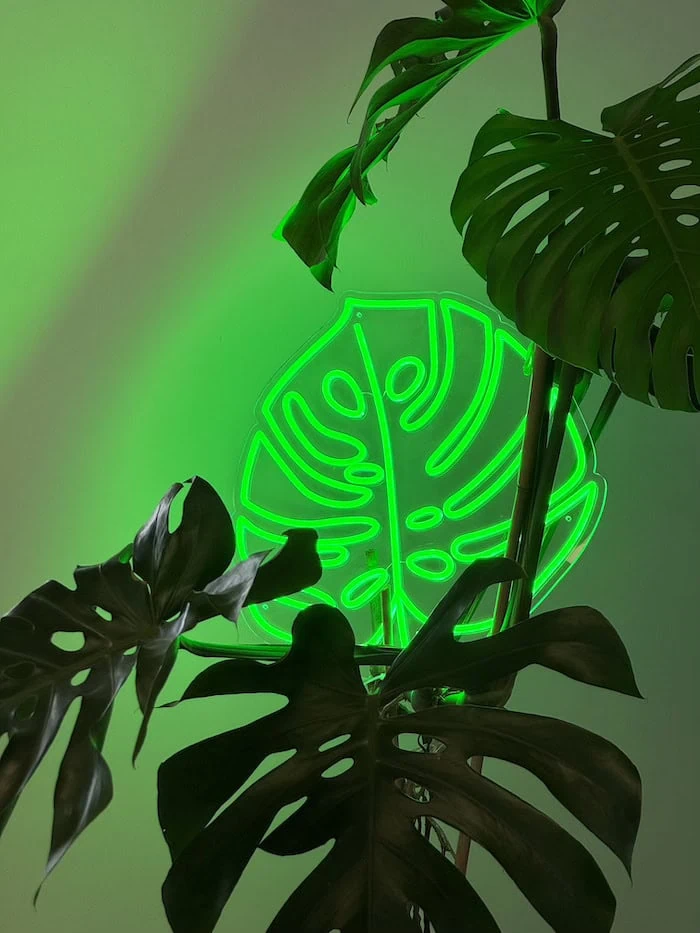 Monstera Leaf Neon Light | Echo Neon