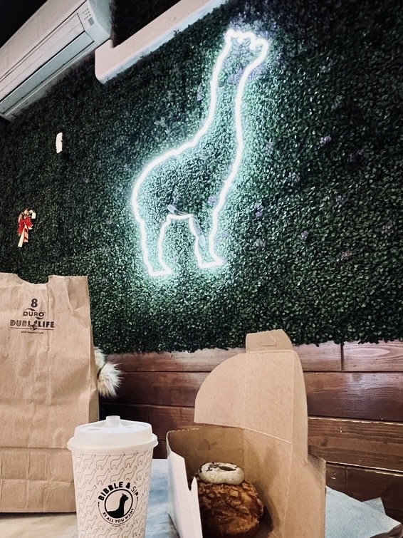 bibble & sip cafe restaurent neon sign
