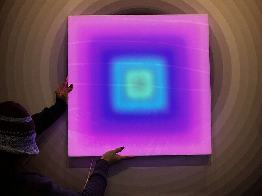 Reve pink and purple color LED lamp