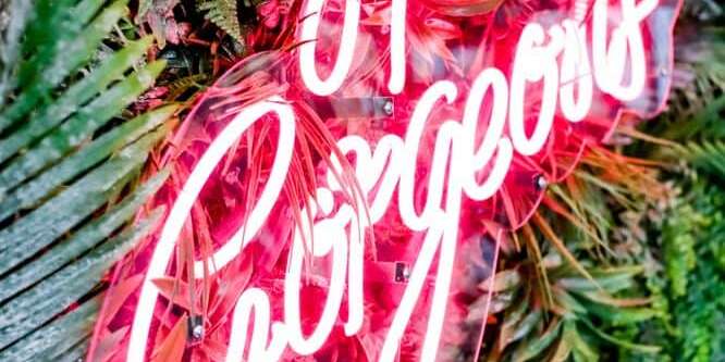 Stirr pink vintage neon sign with cover