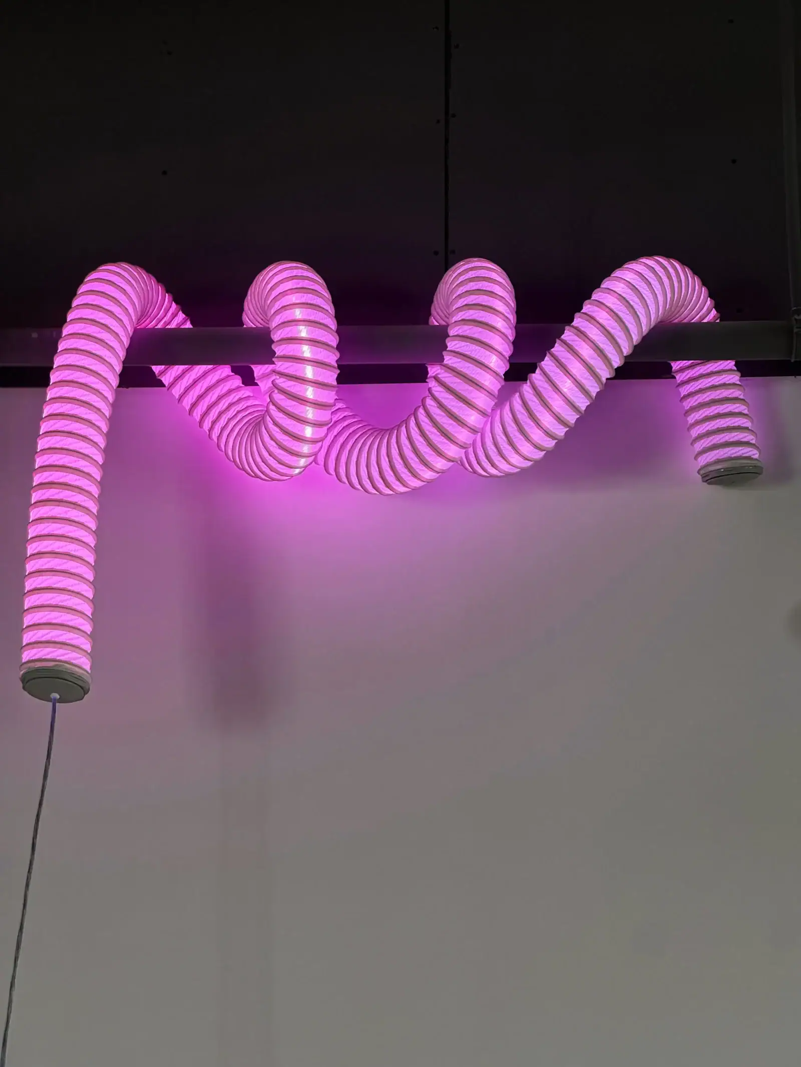 sculptural flexible lamp