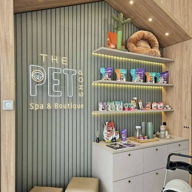 custom led neon sign for pet store